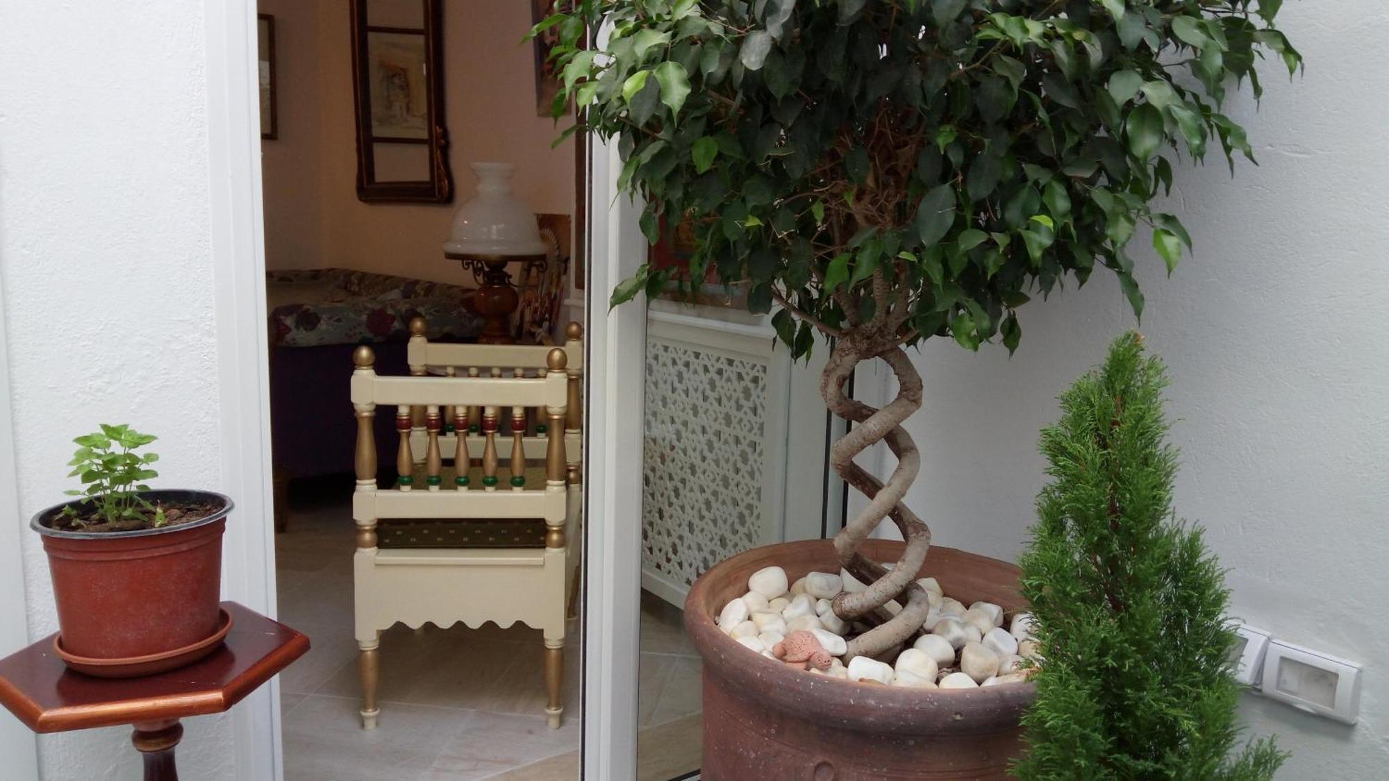 El Patio Courtyard House Hotell Tunis Eksteriør bilde